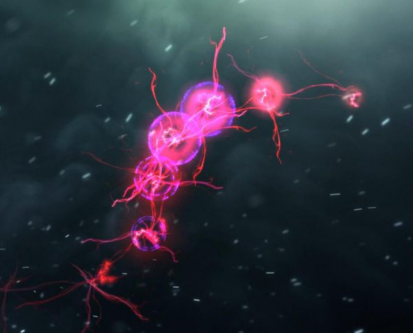 LD-CAICHUPIAOLIANG03